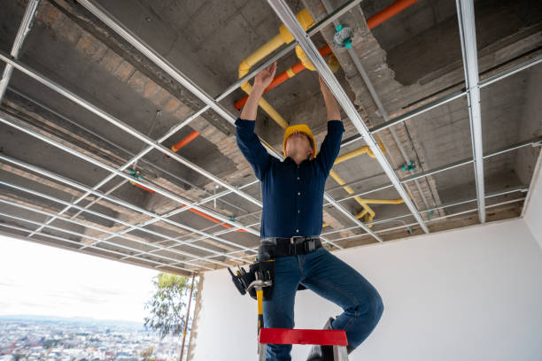 Best Plumbing Inspection Services  in Dickson, TN